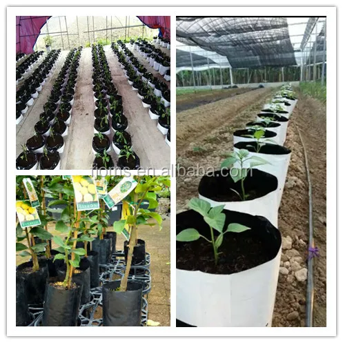 usage of poly planter bags 