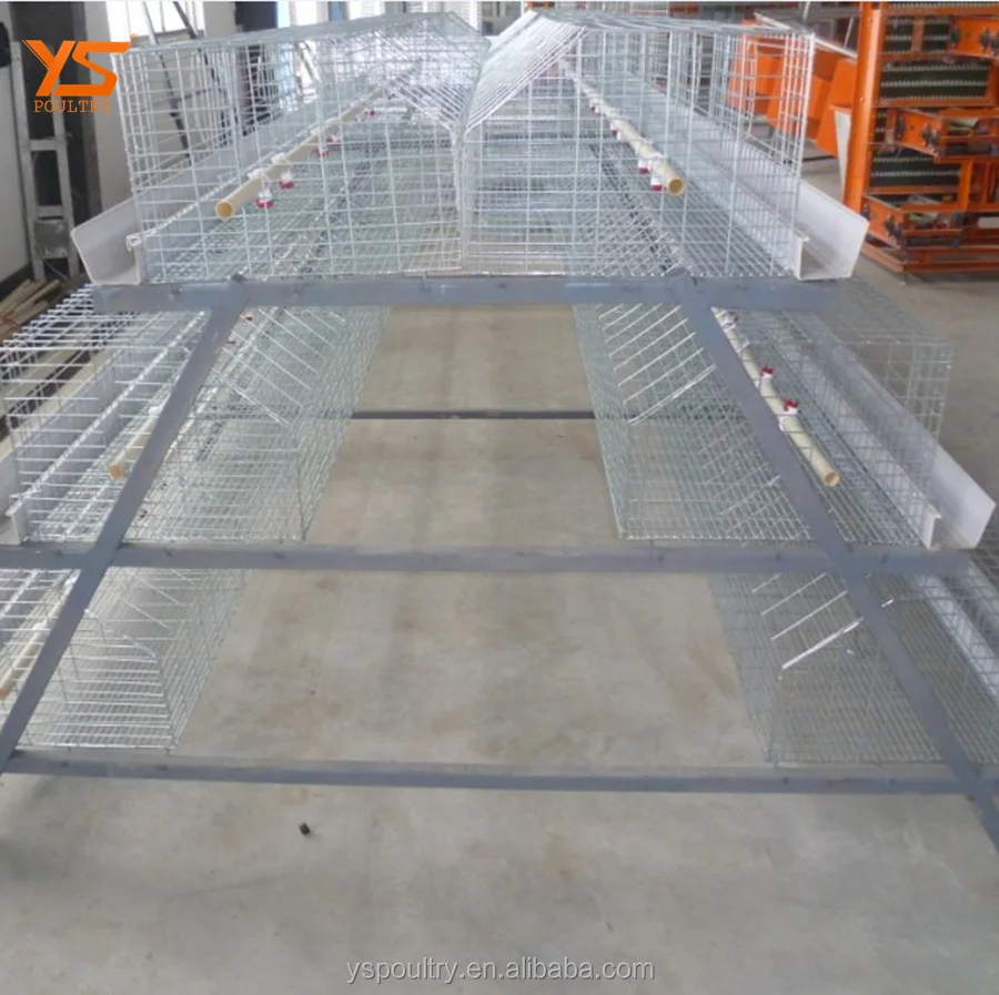 
Top Sale A Type Battery Broiler Cage for Chicken 