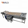 Apple cleaning machine/apple washer and dryer machine