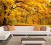 Autumn forest design wallpapers excellent quality murals with full size