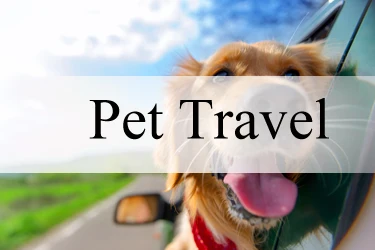 Pet Travel.jpg