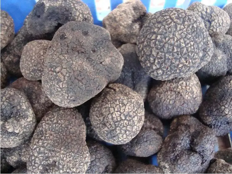 Wild Shanghai Detan Fresh Black Chinese Truffle Buy Truffle,Chinese