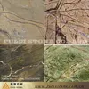 Stone Granite & Marble Tropical Rain Forest