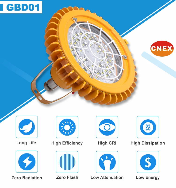 20/40/60W IP66 100lm/w Led Explosion-proof Light