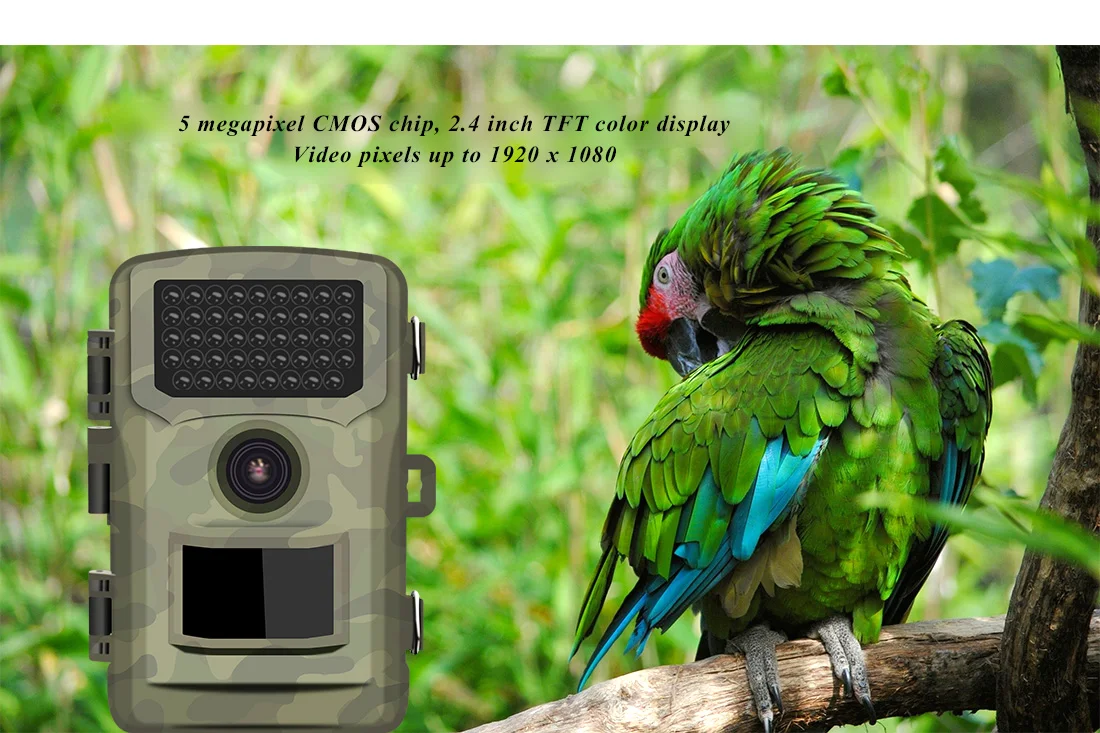 Hdking Hunting Camera Dl1 12mp Wildlife Trail Cam Buy Trail Camera