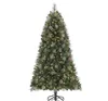Led Outdoor Christmas Tree With Light Transformer Frame