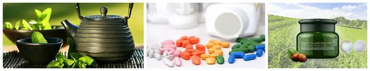 EU Organic China Product Green Tea Extract EGCG 98%.jpg