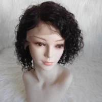 

cuticle aligned hair wig deep curly human hair lace front wig 130% density 10"-26" jerry curly human hair wig wholesale price