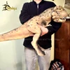 Dinosky cute dinosaur hand puppet for fun factory sales in theme park