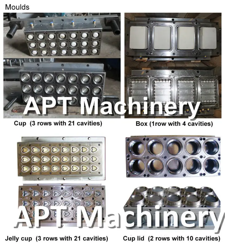 Thermoformed Molds.jpg