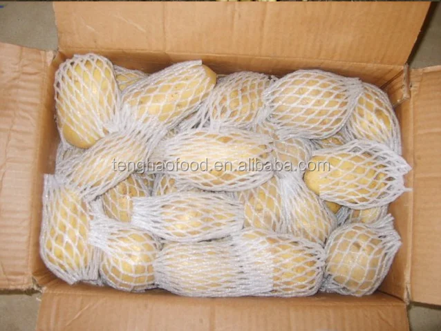 
Good quality with best price potato from China 