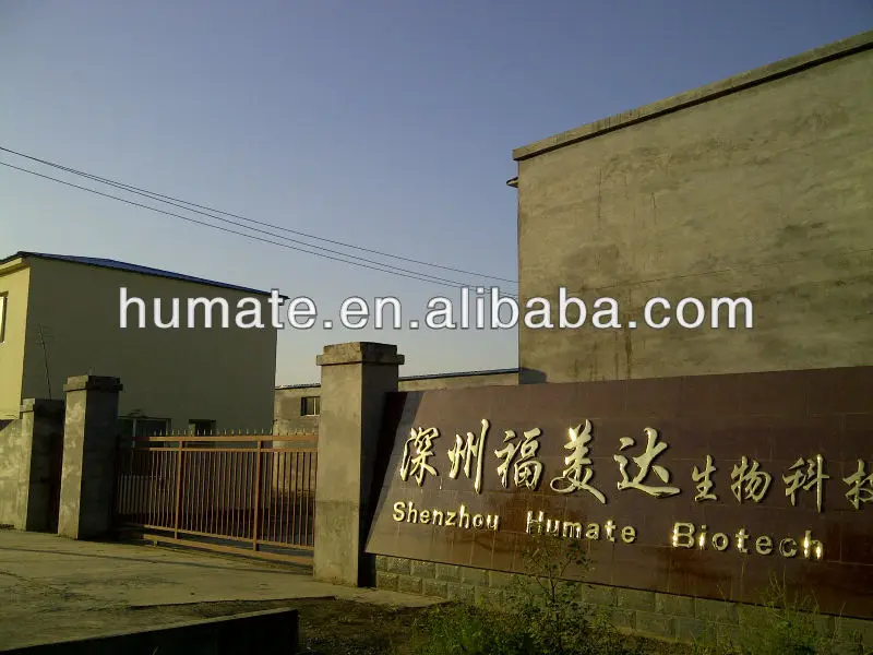potassium humate factory