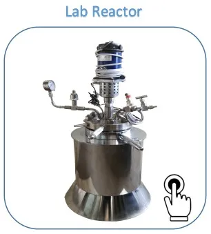 lab reactor.JPG