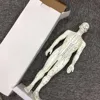 26cm Female Acupuncture model