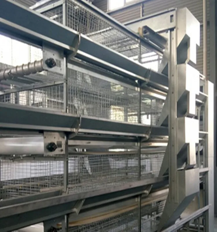 Hot Sale Hot Galvanizing Poultry Farm Equipment Automatic Egg Collector