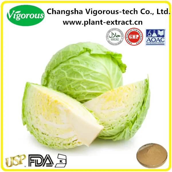 e./brassica oleracea extract supplier
