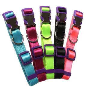 Image of Wholesale Vegan Great Metal Engraved Buckle Personalized Dog Nylon Collar