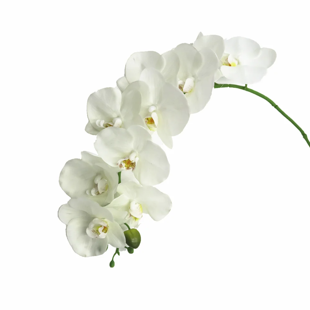43 人工ラテックスホワイトファレノプシス蘭の花 Buy 人工胡蝶蘭 人工ラテックスの花の蘭 白蘭人工 Product On Alibaba Com