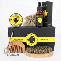 

OEM Private Label Men Beard Grooming Kit with Beard Brush and Beard Oil