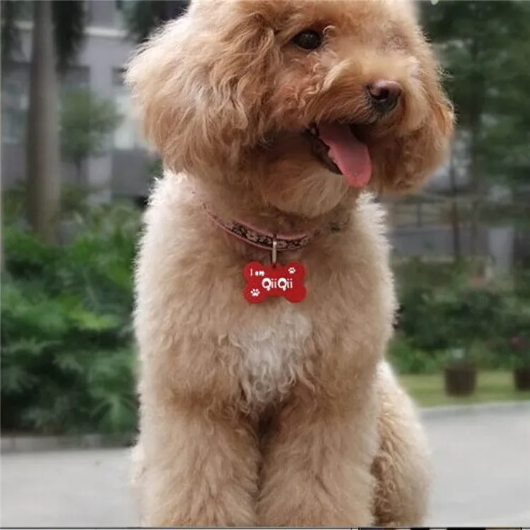 metal dog tag (99).jpg