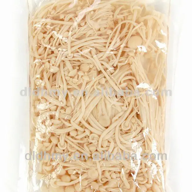 enoki mushroom cultivation