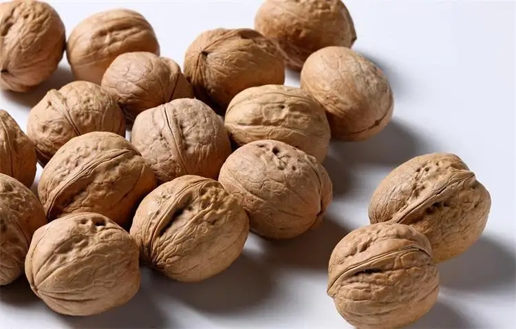 Walnut Huller/Walnut Shelling Machine/Walnut Nut Cracker