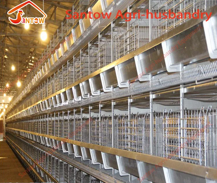 prefabricated chicken coop hen house for sale / metal wire mesh laying hen houses