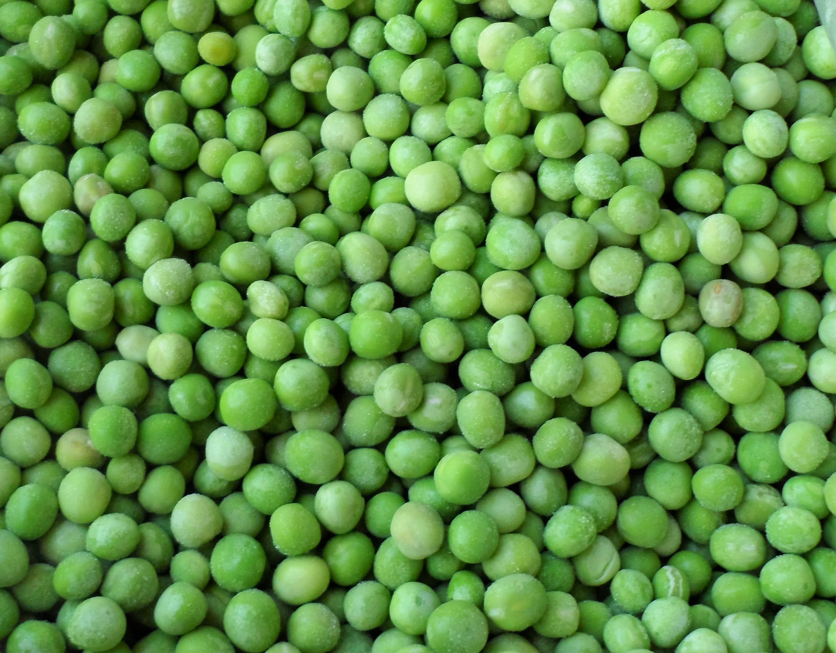 
shelled frozen iqf edamame with pods with good quality 