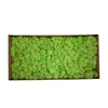 Wholesale preserved moss wholesale for decoration