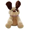 12inch electric music speaking dog hide and seek puppy stuffed plush animal toy with pink scarf