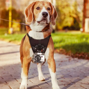 本フェッチ犬ペットハーネス胸バックマウントストラップ Acc アクションカメラ Buy 犬胸マウントアクションビデオカメラ 犬胸 胸バックマウント Product On Alibaba Com