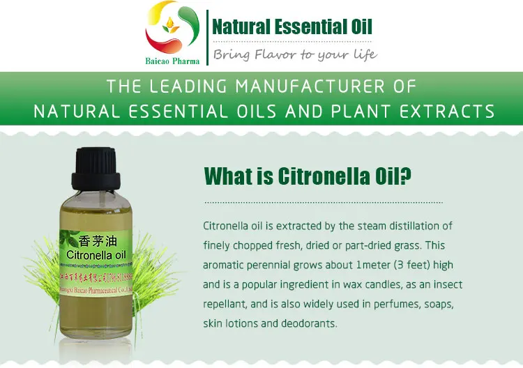 pure nature citronella plant essential oil for mosquitoes and babies