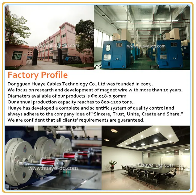 company profile
