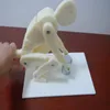 HOT SALE lifting model
