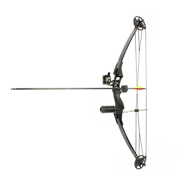 

China fishing compound bow with draw weight 30-40lbs, Black