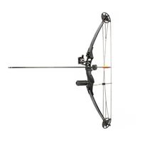 

China fishing compound bow with draw weight 30-40lbs