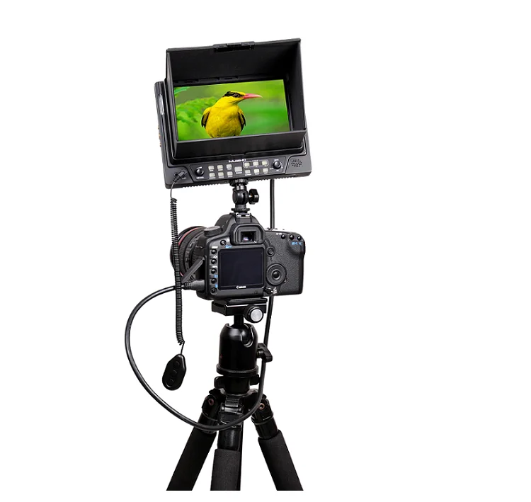 Camera Field Monitor 4k With.png