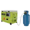SLONG HOME USE DUEL FUEL SIELNT DIESEL NG AND DIESEL GENERATOR