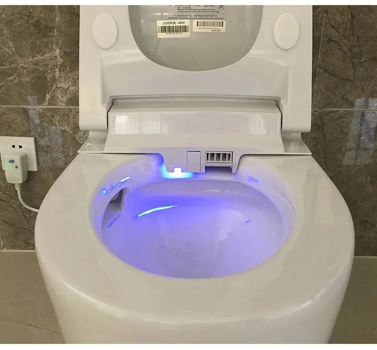 Intelligent automatic flushing toilet with bidet function