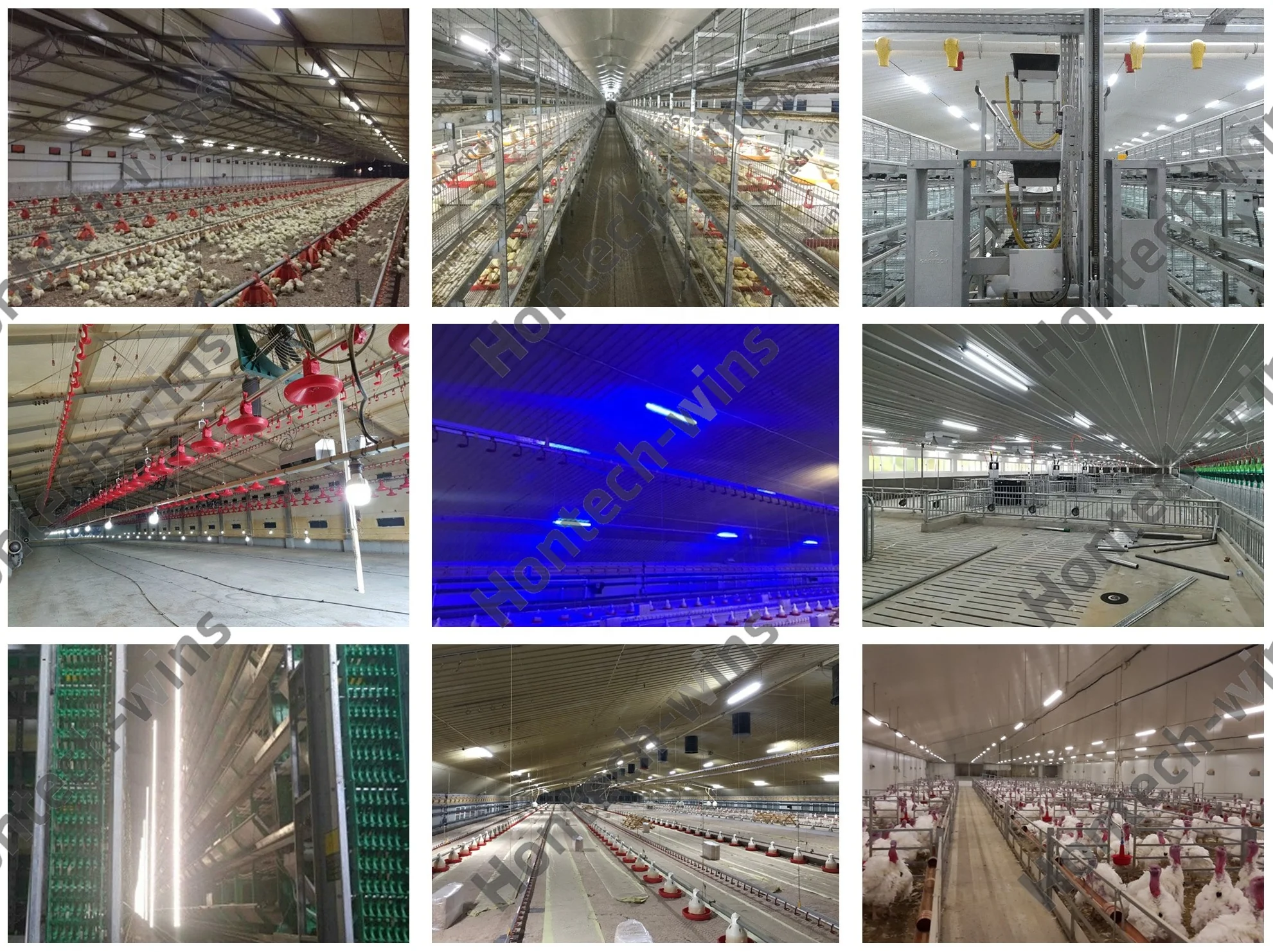 T12 Led Ip67 Led Chicken Farm Light Led Lights For Poultry House Buy Led Lights For Poultry