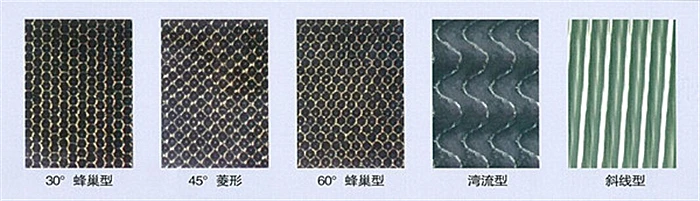 3QQ20150_.jpg