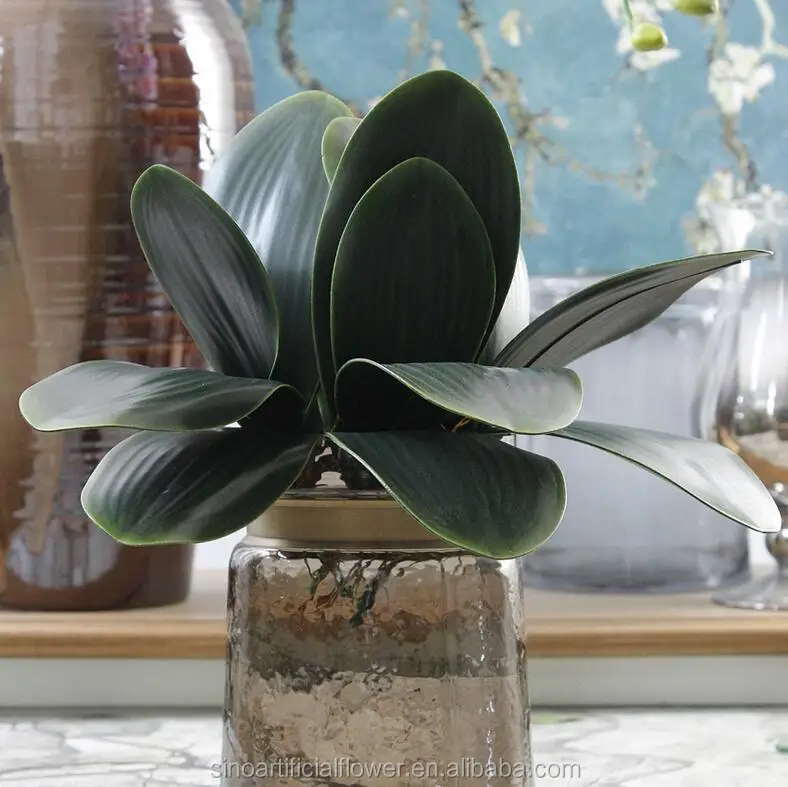 Lifelike Artificial Orchid Leaves For Phalaenopsis With Fibrous Roots