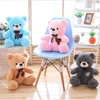 Custom Five Color Plush Teddy Bear Soft Toys With Super Soft Blanket