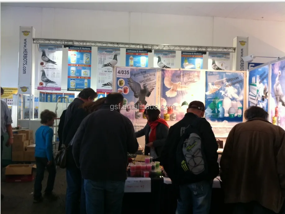 pigeon show in Germany-2