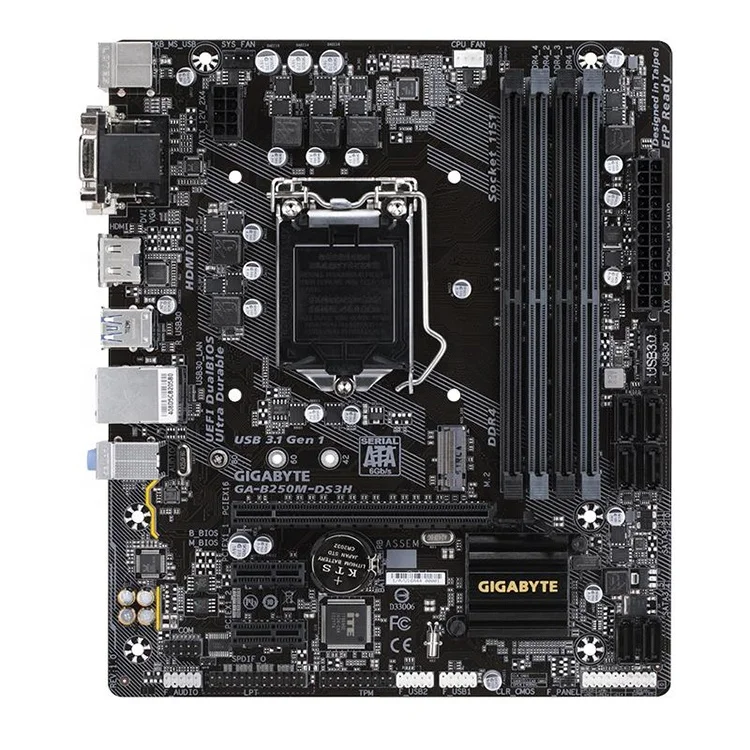 

B250 Motherboard for Gigabyte B250M-DS3H