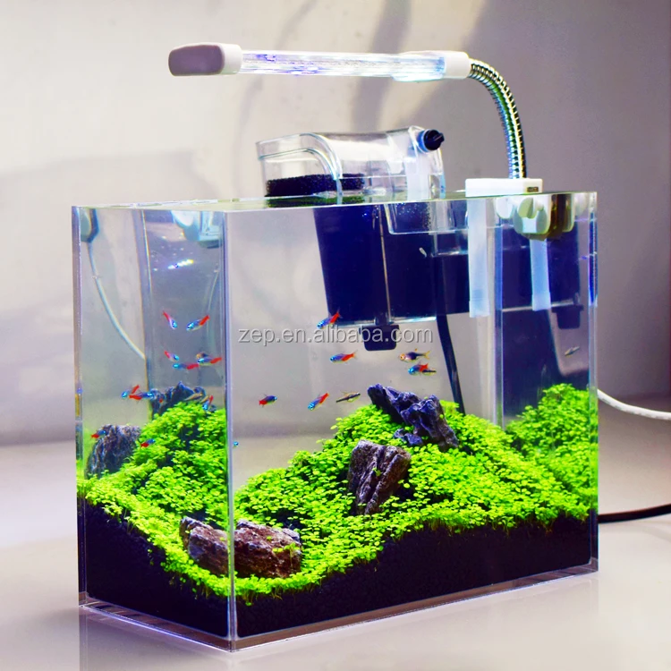 aquarium wholesale shop near me