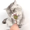 Natural Catnip Matatabi teeth cleaning Lollipop cat mint ball toys