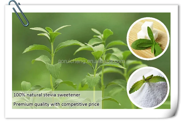 Wie die Moringa-Pflanze bereit ist, Gewicht zu verlieren