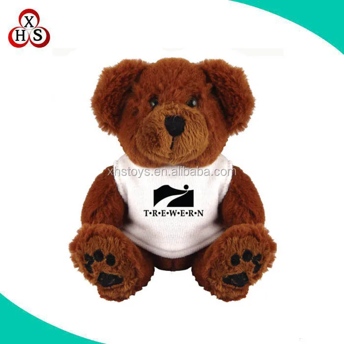 Hidden Cameras In Stuffed Animal Toys