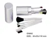 Mini Cosmetic Brush Set